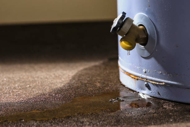 Best Flood damage cleanup  in West Liberty, IA