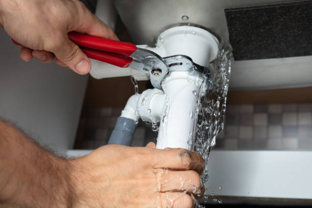 Best Professional water damage repair  in West Liberty, IA