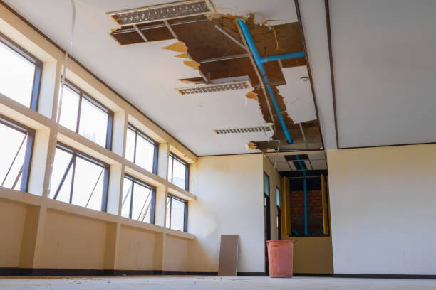Best Water damage contractors near me  in West Liberty, IA