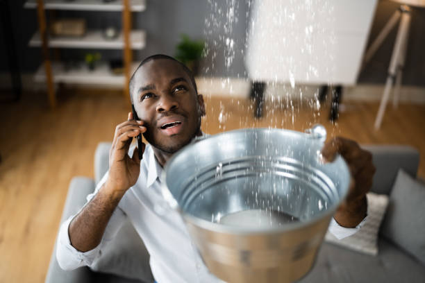 Best Basement water damage restoration  in West Liberty, IA