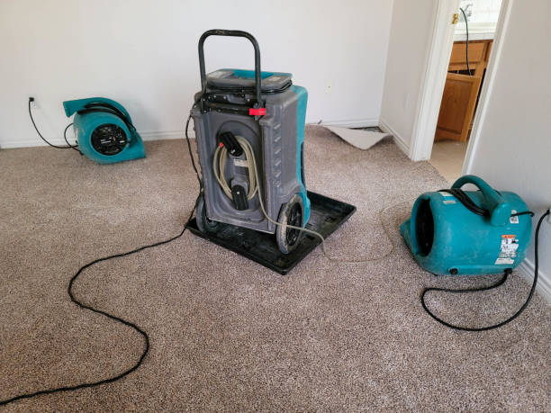 Best Flooded house restoration  in West Liberty, IA