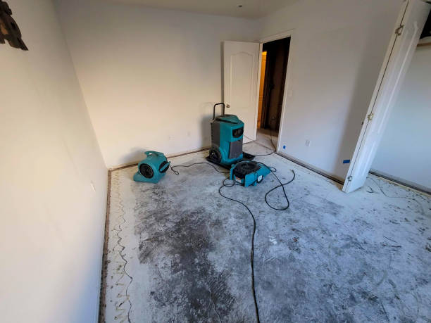 Best Water damage restoration near me  in West Liberty, IA