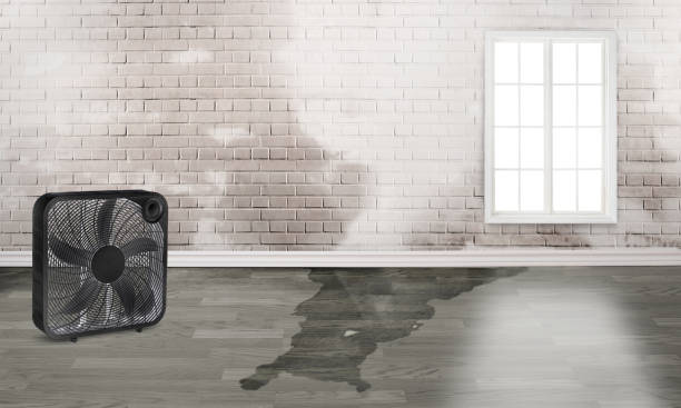  West Liberty, IA Water damage restoration Pros
