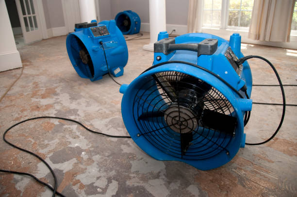 Best Mold removal after water damage  in West Liberty, IA