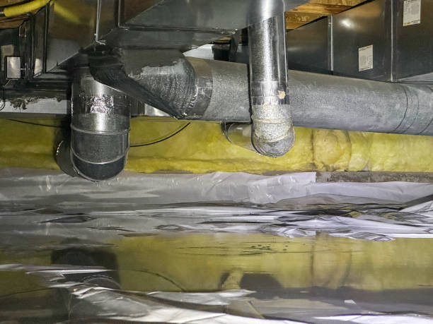 Best Mold removal after water damage  in West Liberty, IA