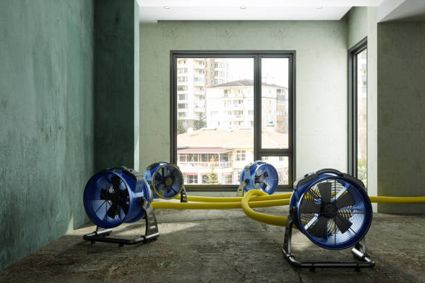 Best Residential water damage restoration  in West Liberty, IA